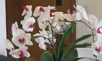 Imagem 3: Apartamento 3/4 sendo 1 suíte Costa azul