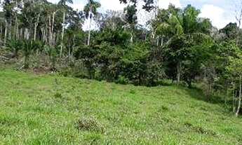 Imagem 7: Fazenda em Manoel urbano com 100 cabeça de gado
