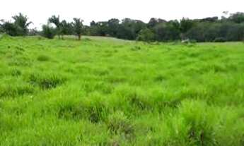 Imagem 2: Fazenda em Manoel urbano com 100 cabeça de gado