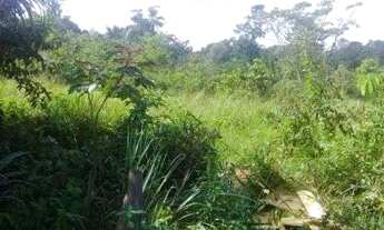 Imagem 7: Sítio/Terreno com 10,6 hectares à venda em Murinim, Benevides, Pará