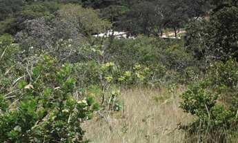 Imagem 6: Áreas 1.000 metros a 69km de Bh entrada R$8 Mil * WhatsApp