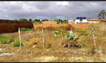 Imagem 2: Exclusividade - Terreno - 1.000m2 - Parque das Arvores