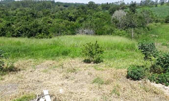Imagem 6: Vendo chácara com casa em japira somente venda