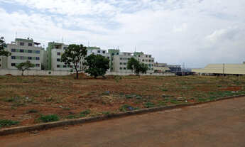 Imagem 5: Área do Lado da BR-153, Terminal Araguaia, Cel Da OAB