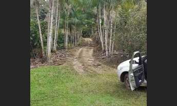 Imagem 5: Vendo Excelente Sitio Em Valença