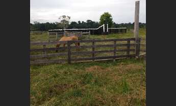 Imagem 3: Vendo 4 lotes em Rorainopolis