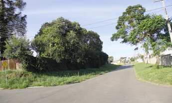 Imagem 4: Terreno em Pinhais