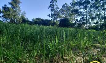 Imagem: Fazenda/Sítio/Chácara para venda tem 20000