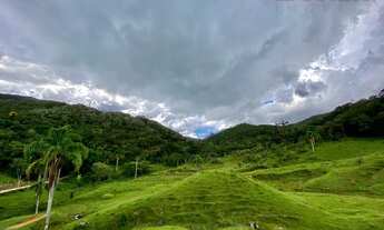 Imagem: Terreno para sítio em Vila Doze - Antonio