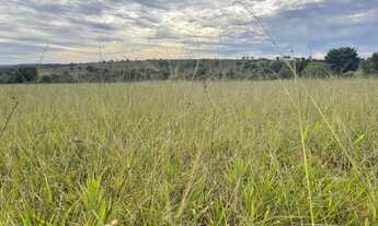 Imagem 5: Fazenda Fazenda / sítio com venda por R$9.954.000