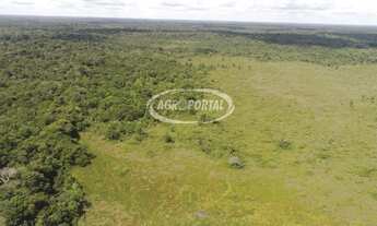 Imagem 2: Fazenda no Pará - Igarapé Miri - 294 ha (60 alq