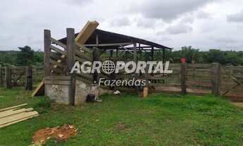 Imagem 7: Fazenda no Pará - São Domingos do Capim - 250 ha (51 alq