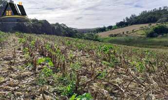 Imagem 5: Terreno para Venda em Pinhalzinho, zona rural
