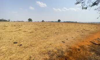 Imagem 4: 21 alqueire para lavoura em Trindade-Go