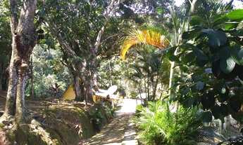 Imagem 2: Oportunidade em Sampaio Correia - sitio no Mato Grosso