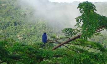 Imagem 6: Sítio com 2 casas excelente localização!