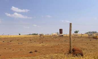 Imagem 5: 21 alqueire para lavoura em Trindade-Go