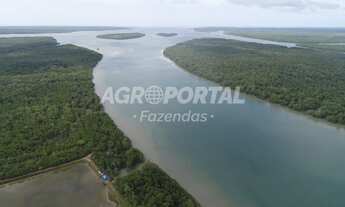 Imagem 2: Fazenda no Pará - Curuçá - 54 ha (11 alq