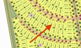 Imagem 5: Monte Sinai (Terra Santa) - quitado