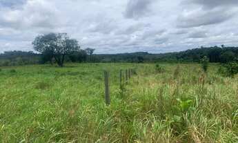 Imagem 7: Fazenda Em Cruzeiro do Sul