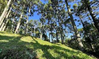 Imagem: ASPEN MOUNTAIN - GRAMADO