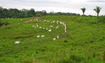 Imagem: Vendo ou troco uma Terra em Feijó