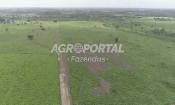 Imagem 5: Fazenda no Pará - Aurora do Pará - PA