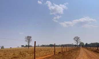 Imagem 3: 21 alqueire para lavoura em Trindade-Go