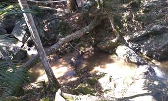 Imagem 7: Oportunidade em Sampaio Correia - sitio no Mato Grosso