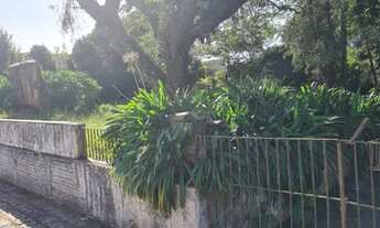 Imagem 4: Terreno Campo Largo Centro