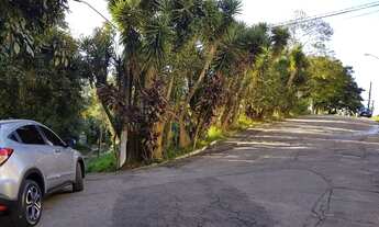 Imagem 4: Terrenos - Jaraguá