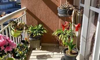 Imagem 6: APARTAMENTO - ALTO DA LAPA - SP