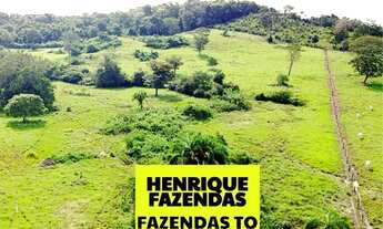 Imagem 3: Fazenda de cultura oportunidade região Paraíso Tocantins ....