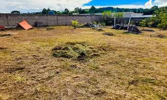Imagem 7: Terreno de chácara murado
