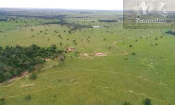 Imagem 15: ML FAZENDAS - FAZ 151 Fazenda em Cassilândia / MS 6.692,43 Hect
