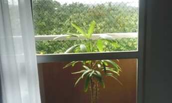 Imagem 3: Vista Livre!!! Ap em Jardim Camburi, 2 quartos, direto com o proprietário