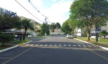 Imagem 7: Apartamento 3 quartos já financiado