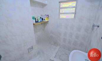 Imagem 2: São Paulo - Casa Padrão - Saúde