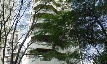 Imagem 4: São Paulo - Apartamento Padrão - Moema