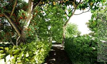 Imagem 3: Terrenos excelente à venda, 1000m², Infraestrutura, Pomares Busca Vida, Abrantes, Camaçari