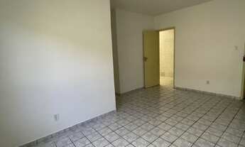 Imagem 4: Jardim das Hortencias