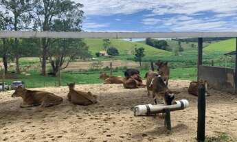 Imagem 2: Fazenda- venda - Rio Claro - RJ