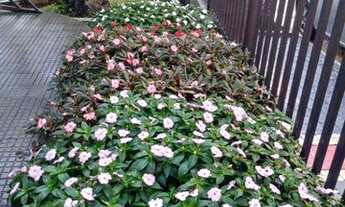 Imagem 3: Apartamento com 3 dormitórios à venda, 92 m² - Jardim do Mar - São Bernardo do Campo/SP