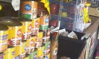 Imagem 5: PET SHOP ÓTIMA LOCALIZAÇÃO