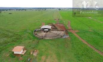 Imagem: ML FAZENDAS - FAZ 151 Fazenda em Cassilândia