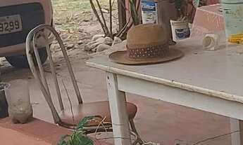 Imagem 4: Chacara em Claudinapolis 50 km de goiania