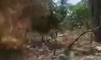 Imagem: Terra documentada