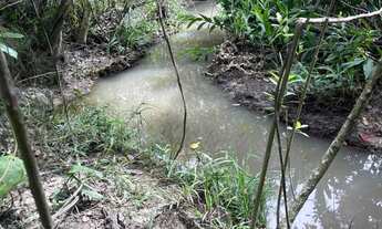 Imagem 3: Sítio 5.68 alqueires Abadiânia