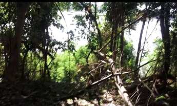 Imagem: Vendo fazenda 1,900 hc beira rio São Francisco