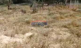 Imagem 2: Lindo terreno de chácara pouco aclive